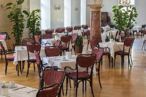 beautiful restaurant chairs