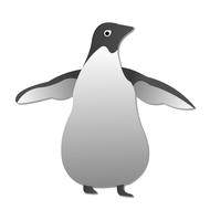 cartoon penguin animal bird