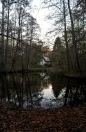 Lake and House Forest