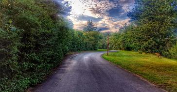 Road Nature