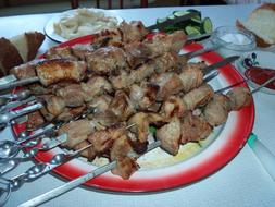 roast kebab with spices