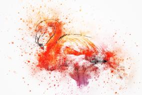 watercolor, pink flamingo