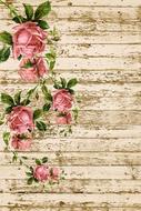 country house style decoration, pink roses, drawing