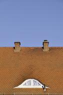 brown House Roof Sky blue