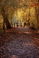 Autumn Heilbronn Baden Württemberg