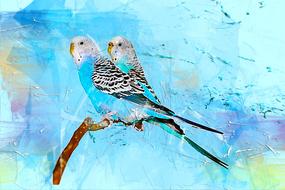 bird parrots art abstract