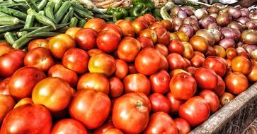 tasty tomatoes on sale