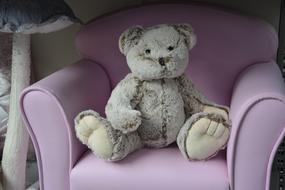 Plush Teddy Bear toy sitting