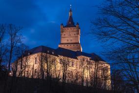 Silhouettes of the branches, near the beautiful castle with lights, under the blue sky, in Kleve, Germany, at the night