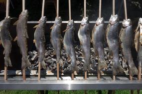 grilled fish is delicious