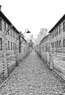 Auschwitz Camp Holocaust
