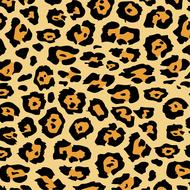 Colorful and beautiful leopard texture with the patterns, clipart