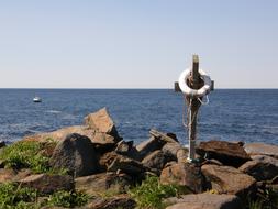 Mohegan Island coast