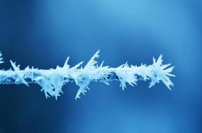 frost at blue background