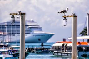 Ship Boat pier