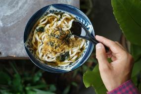delicious udon