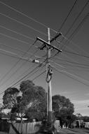 Utility pole with lot of cables at sky, black and white