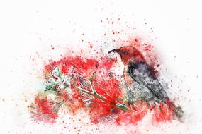 bird feathers flowers animal art