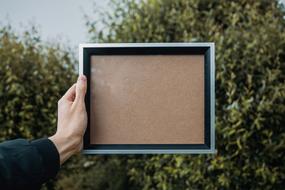 human frame
