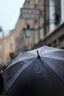 rain in the gray city