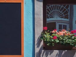 flowers on window on Architecture House Building