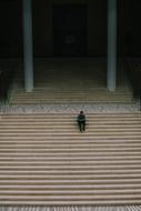 man sits on a long staircase in a building architecture