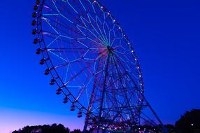 Ferris Wheel Amusement Park