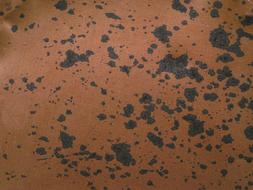 Rust Metal Texture red black