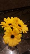 Yellow Sunflower Summer