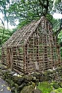 Beautiful wood hut, among the green plants, in light