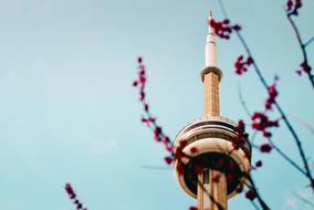 Architecture tv tower and glowers