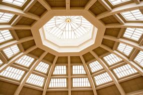 Ceiling Roof library of victoria