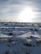 cold snow in the field