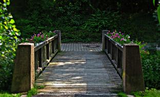 Bridge Building flowers