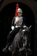 Horseman guard on the beautiful black horse in London, UK