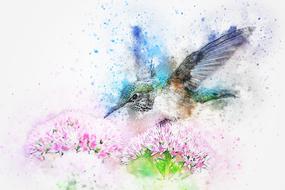 bird animal flowers art abstract