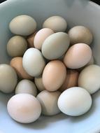 raw eggs on a plate