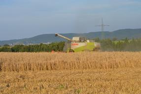 extraction of usable wheat