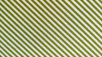 green Fabric Cotton Canvas