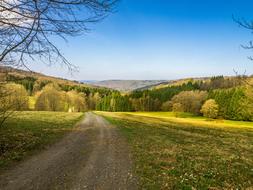 Landscape Away Spring