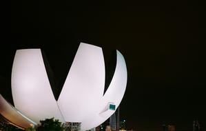 Architecture Building white petal building