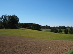 agricultural fields and green forest