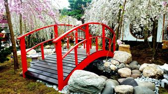 beautiful bridge near the chinese house