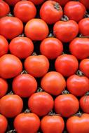 Tomato Market Texture red