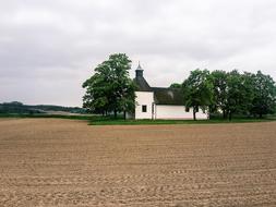 Church Field Trees