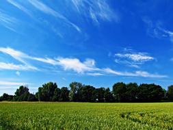 cloudy blue sky over the field