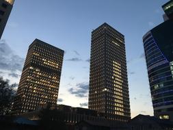 Skyline and City Buildings