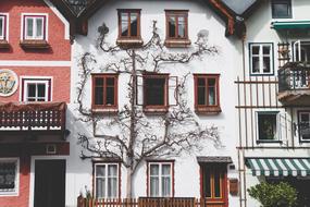 Architecture House Balcony white pink