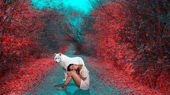 Girl white wolf red trees
