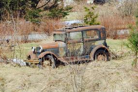 forgotten rusty car